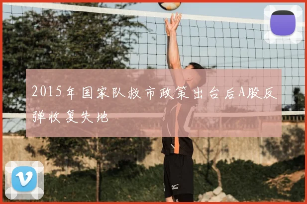 2015年国家队救市政策出台后A股反弹收复失地