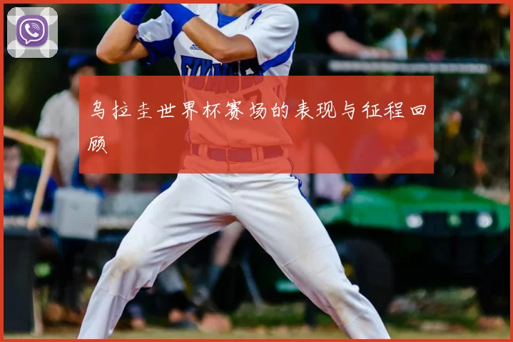 乌拉圭世界杯赛场的表现与征程回顾