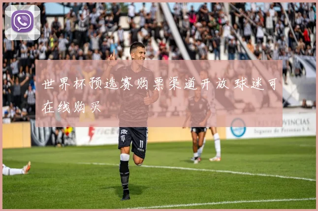 世界杯预选赛购票渠道开放 球迷可在线购买