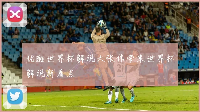 优酷世界杯解说大张伟带来世界杯解说新看点
