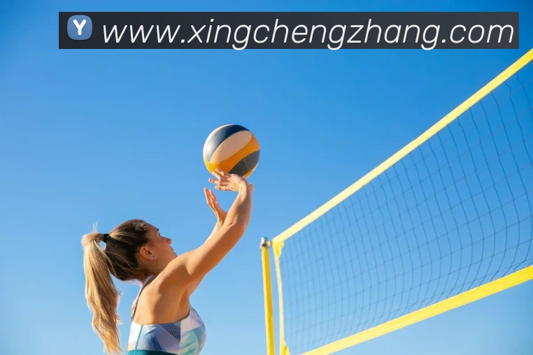 新爱体育百科APP 高清赛事图